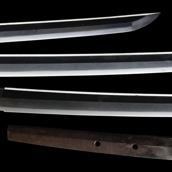 Antique Japanese Sword Katana Signed by Tadayuki<br> NBTHK<span style="color: #ff0000;"><strong> Tokubetsu Hozon</strong> </span>Certificate - Image 3