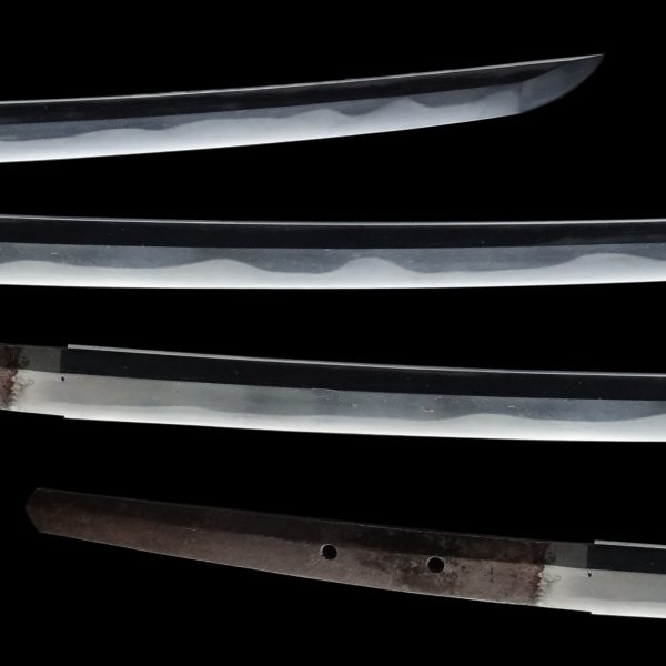 Antique Japanese Sword Katana Signed by Masatoshi<br> NBTHK<span style="color: #ff0000;"><strong> Tokubetsu Hozon</strong> </span>Certificate - Image 3