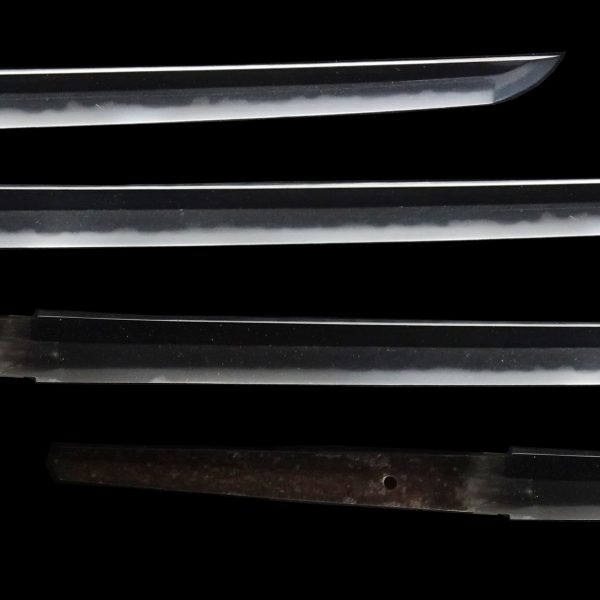 Antique Japanese Sword Katana Signed by Tsunahiro<br> NBTHK<span style="color: #ff0000;"><strong> Tokubetsu Hozon</strong> </span>Certificate - Image 3