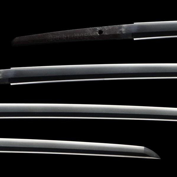 Antique Japanese Sword Katana Signed by the second-gen Tadatsuna<br> NBTHK<span style="color: #ff0000;"><strong> Tokubetsu Hozon</strong> </span>Certificate - Image 2