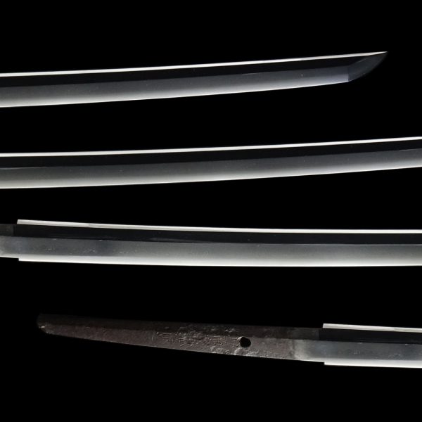Antique Japanese Sword Katana Signed by the second-gen Tadatsuna<br> NBTHK<span style="color: #ff0000;"><strong> Tokubetsu Hozon</strong> </span>Certificate - Image 3