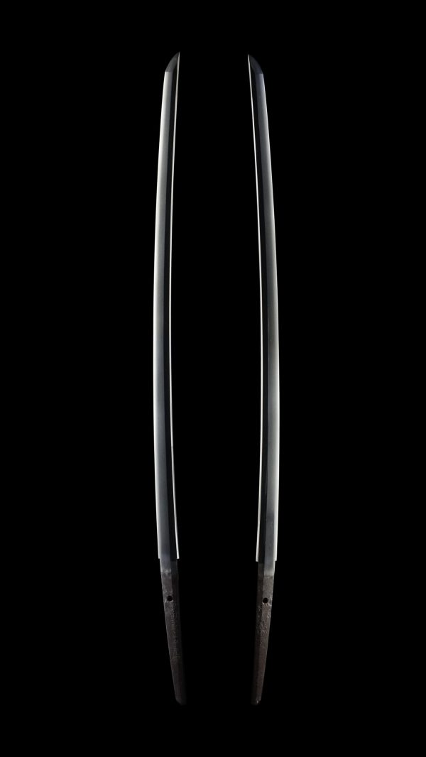 Antique Japanese Sword Katana Signed by the second-gen Tadatsuna<br> NBTHK<span style="color: #ff0000;"><strong> Tokubetsu Hozon</strong> </span>Certificate - Image 6