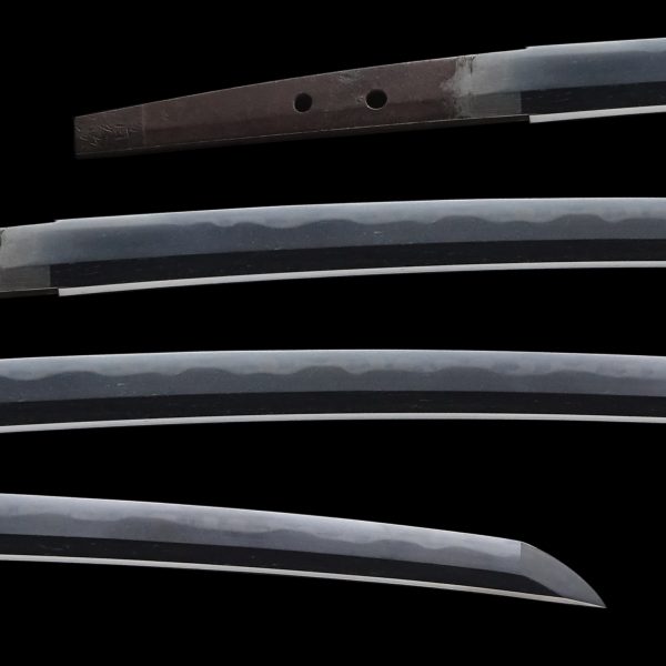 Antique Japanese Sword Wakizashi Signed by Shimosaka Sadatsugu<br> NTHK Kanteisho Certificate - Image 2