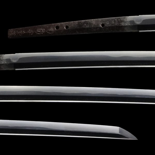 Antique Japanese Sword Katana Signed by Kanemichi<br> NBTHK Tokubetsu Kicho Certificate - Image 2