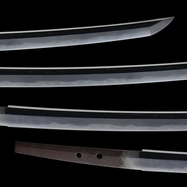 Antique Japanese Sword Wakizashi Signed by Shimosaka Sadatsugu<br> NTHK Kanteisho Certificate - Image 3