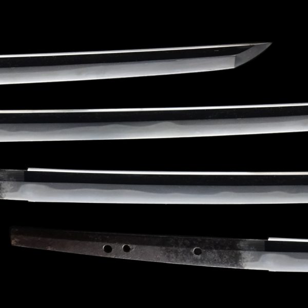 Antique Japanese Sword Katana Signed by Kanemichi<br> NBTHK Tokubetsu Kicho Certificate - Image 3