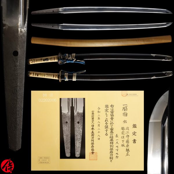 Antique Japanese Sword Wakizashi Signed by Tsuguhiro<br> NBTHK<span style="color: #ff0000;"><strong> Tokubetsu Hozon</strong> </span>Certificate