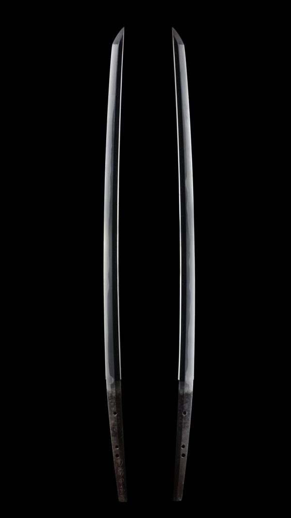 Antique Japanese Sword Katana Signed by Kanemichi<br> NBTHK Tokubetsu Kicho Certificate - Image 6