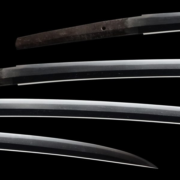 Antique Japanese Sword Katana Signed by Ryokai Shigeyoshi <br>NBTHK <span style="color: #ff0000;">Hozon </span>Certificate - Image 2