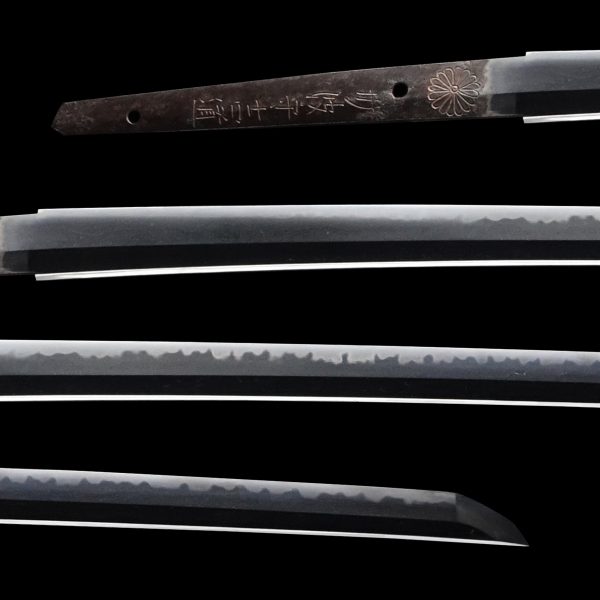Antique Japanese Sword Katana Signed by the 4th-gen Yoshimichi<br> NBTHK<span style="color: #ff0000;"><strong> Tokubetsu Hozon</strong> </span>Certificate - Image 2