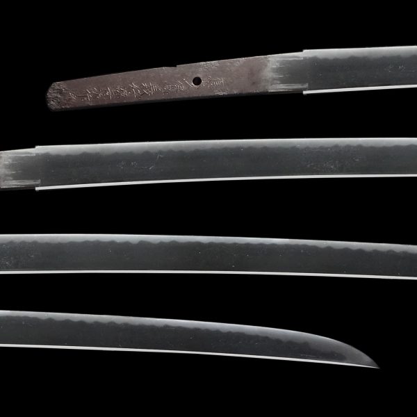 Antique Japanese Sword Katana Signed by Minamoto Yoshitsugu<br> NBTHK <strong><span style="color: #ff0000;">Tokubetsu Hozon</span> </span></span></strong>Certificate - Image 2