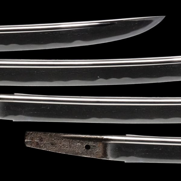 Antique Japanese Sword Wakizashi Signed by Hirokuni<br> NBTHK<span style="color: #ff0000;"><strong> Tokubetsu Hozon</strong> </span>Certificate - Image 3
