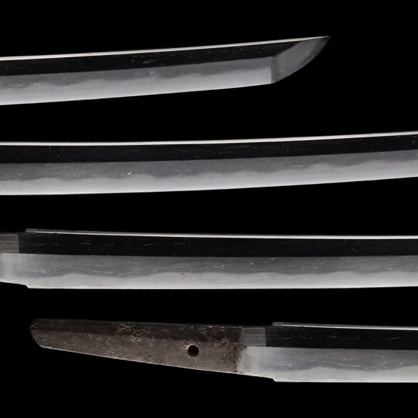 Antique Japanese Sword Wakizashi Signed by Kunimune<br> NBTHK Kicho Certificate - Image 3