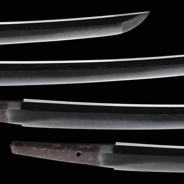 Antique Japanese Sword Wakizashi Signed by Katsushige<br> NBTHK<span style="color: #ff0000;"><strong> Tokubetsu Hozon</strong> </span>Certificate - Image 3