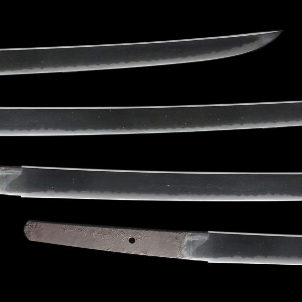 Antique Japanese Sword Katana Signed by Minamoto Yoshitsugu<br> NBTHK <strong><span style="color: #ff0000;">Tokubetsu Hozon</span> </span></span></strong>Certificate - Image 3