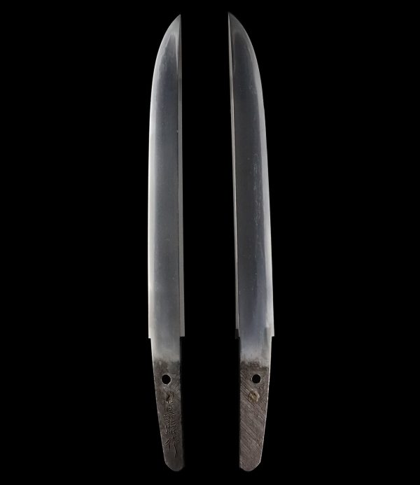 Antique Japanese Sword Tanto Signed by Sadaharu<br> NBTHK <span style="color: #ff0000;">Hozon</span> Certificate - Image 6