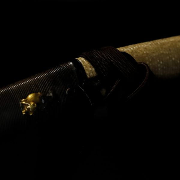 Antique Japanese Sword Tanto Signed by Sadaharu<br> NBTHK <span style="color: #ff0000;">Hozon</span> Certificate - Image 10