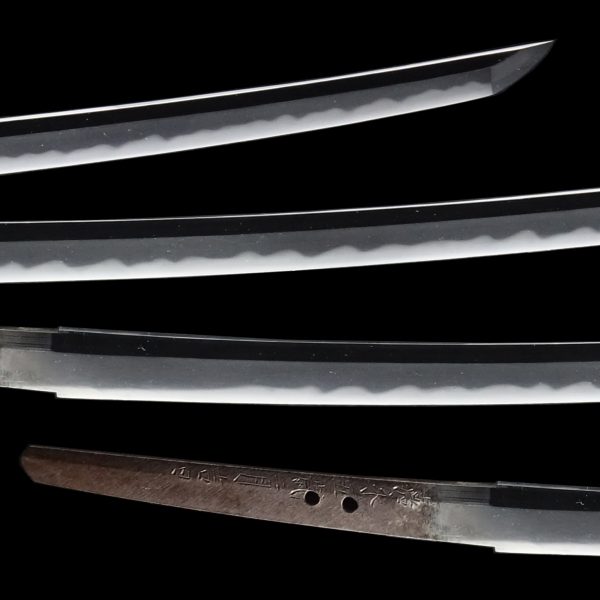 Antique Japanese Sword Katana Signed by Chounsai Tsunatoshi<br> NBTHK<span style="color: #ff0000;"><strong> Tokubetsu Hozon</strong> </span>Certificate - Image 3