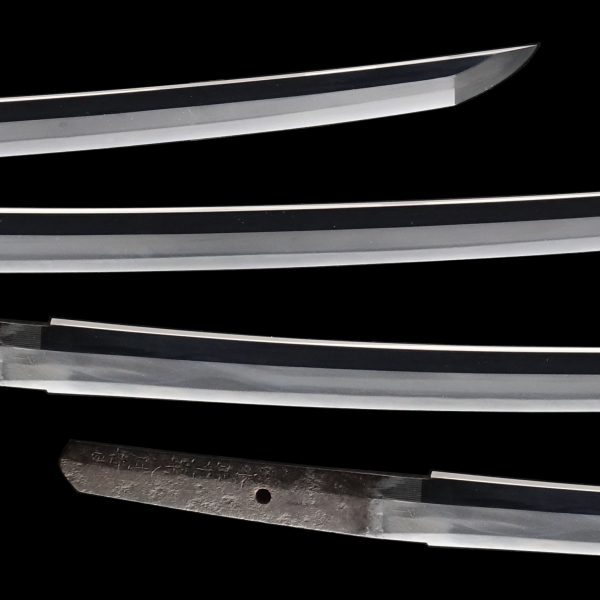 Antique Japanese Sword Katana Signed by Katsumitsu<br> NBTHK<span style="color: #ff0000;"><strong> Tokubetsu Hozon</strong> </span>Certificate - Image 3
