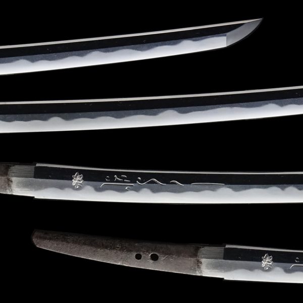 Antique Japanese Sword Katana Attributed to Shimada <br>NBTHK <span style="color: #ff0000;"> Hozon</span> Certificate - Image 4