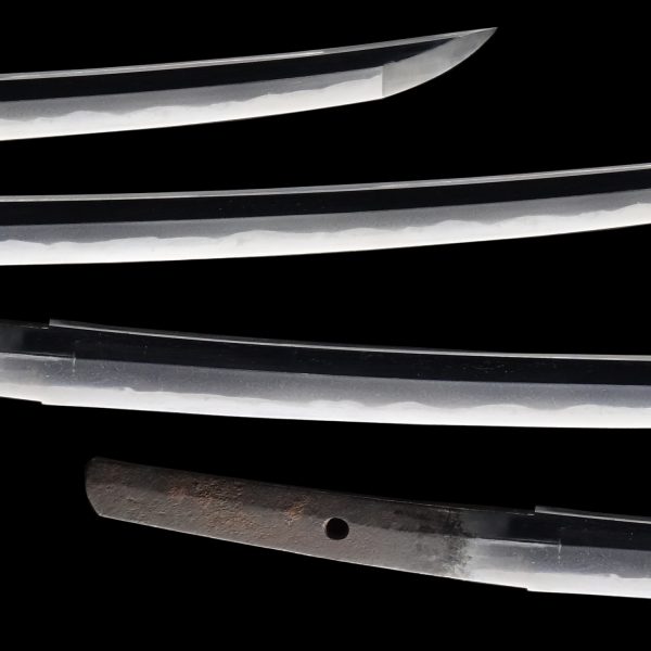 Antique Japanese Sword Daisho attributed to the 5th gen Tadayoshi ＆ Saneyuki<br> NTHK Kanteisho Certificate - Image 5