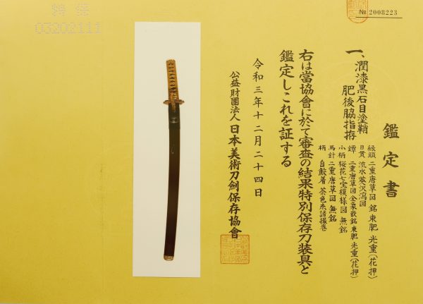 Antique Japanese Sword Wakizashi Signed by Tadatsuna <br>NBTHK <span style="color: #ff0000;"><strong> Tokubetsu Hozon</strong> </span>Certificate - Image 25