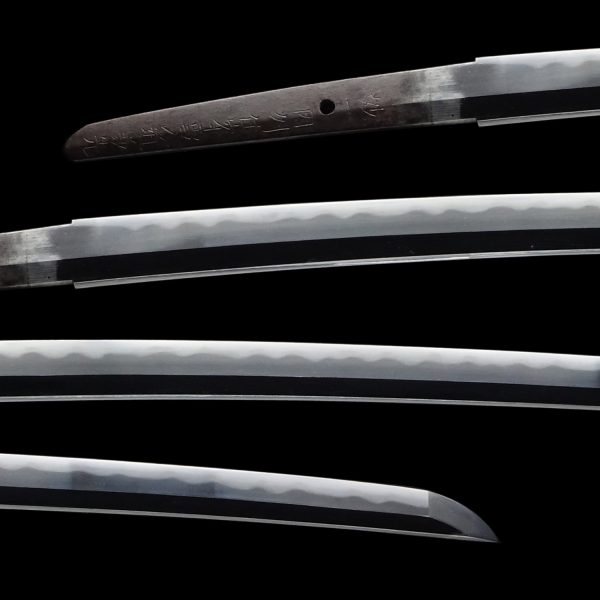 Antique Japanese Sword Katana Signed by Inshu Kanesaki<br> NBTHK<span style="color: #ff0000;"><strong> Tokubetsu Hozon</strong> </span>Certificate - Image 2