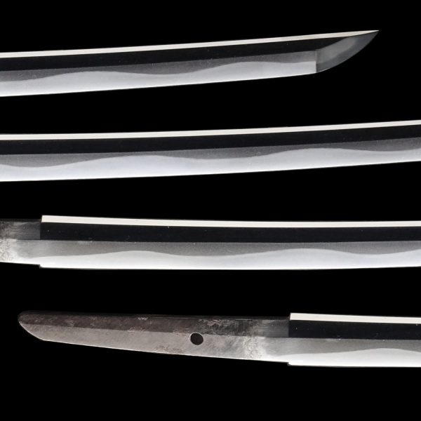 Antique Japanese Sword Wakizashi Signed by Tadatsuna <br>NBTHK <span style="color: #ff0000;"><strong> Tokubetsu Hozon</strong> </span>Certificate - Image 3