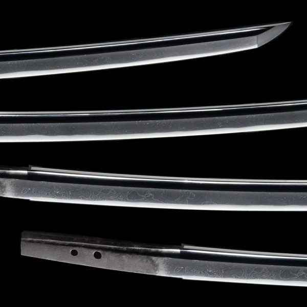 Antique Japanese Sword Katana Attributed to Shikkake <br><span style="color: #000000;">NBTHK <span style="color: #5accff;"><strong>JUYO TOKEN</strong></span> Certificate</span> - Image 3
