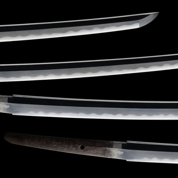 Antique Japanese Sword Katana Signed by Inshu Kanesaki<br> NBTHK<span style="color: #ff0000;"><strong> Tokubetsu Hozon</strong> </span>Certificate - Image 3