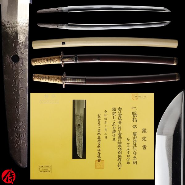 Antique Japanese Sword Wakizashi Signed by Tadatsuna <br>NBTHK <span style="color: #ff0000;"><strong> Tokubetsu Hozon</strong> </span>Certificate