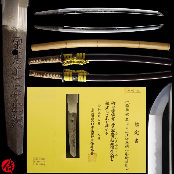 Antique Japanese Sword Wakizashi Signed by Awataguhi Omi no Kami Tadatsuna <br>NBTHK <span style="color: #ff0000;">Hozon</span> Certificate