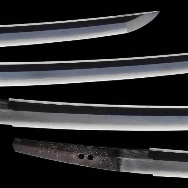 Antique Japanese Sword Wakizashi Signed by Kunimasa <br>NBTHK <span style="color: #ff0000;"><strong> Tokubetsu Hozon</strong> </span>Certificate - Image 3