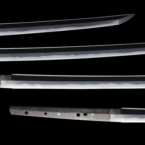 Antique Japanese Sword Tachi Signed by Soshu Tsunaie<br> NBTHK<span style="color: #ff0000;"> Hozon </span>Certificate - Image 3