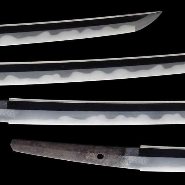 Antique Japanese Sword Wakizashi Signed by Sukehiro <br>NBTHK <span style="color: #ff0000;"><strong> Tokubetsu Hozon</strong> </span>Certificate - Image 3