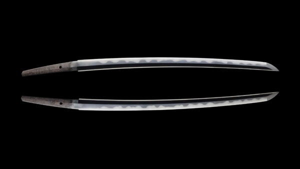 Antique Japanese Sword Wakizashi Signed by Sukehiro <br>NBTHK <span style="color: #ff0000;"><strong> Tokubetsu Hozon</strong> </span>Certificate - Image 13