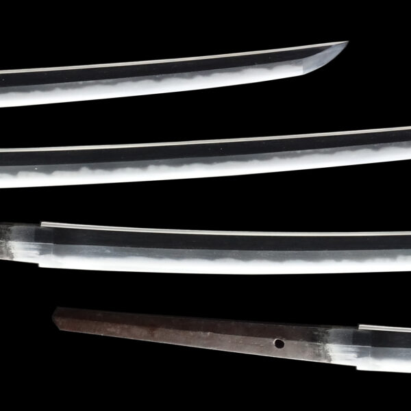 Antique Japanese Sword Katana Signed by Nioh Masakiyo<br> NBTHK<span style="color: #ff0000;"><strong> Tokubetsu Hozon</strong> </span>Certificate - Image 3