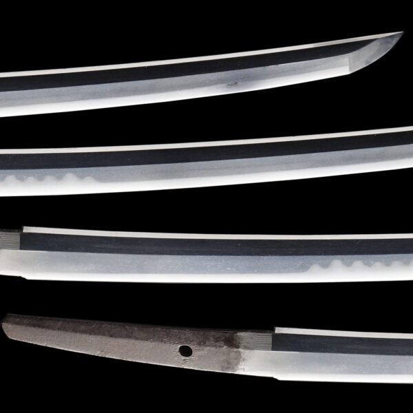 Antique Japanese Sword Wakizashi Signed by Nobukuni Yoshimasa <br>NBTHK <span style="color: #ff0000;"><strong> Tokubetsu Hozon</strong> </span>Certificate - Image 3