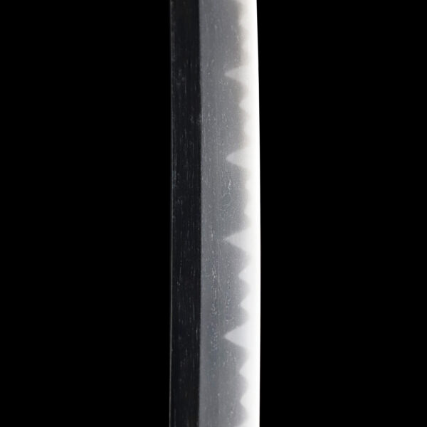 Antique Japanese Sword Daisho Signed by Kanemoto NBTHK<span style="color: #ff0000;"><span style="color: #ff0000;"> Hozon</span> Certificate - Image 17