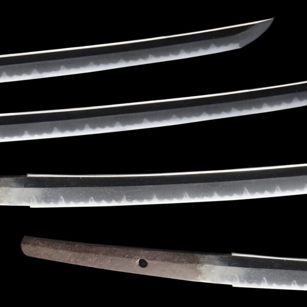 Antique Japanese Sword Daisho Signed by Kanemoto NBTHK<span style="color: #ff0000;"><span style="color: #ff0000;"> Hozon</span> Certificate - Image 3