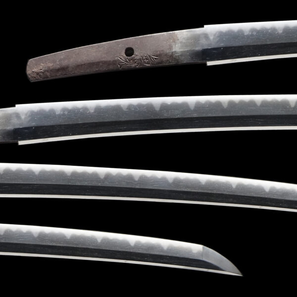 Antique Japanese Sword Daisho Signed by Kanemoto NBTHK<span style="color: #ff0000;"><span style="color: #ff0000;"> Hozon</span> Certificate - Image 4