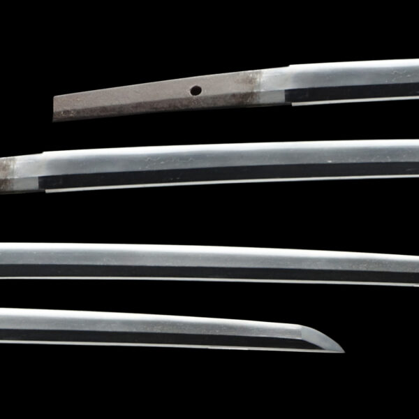 Antique Japanese Sword Wakizashi Attributed to Jyosyu Sueyuki<br>NBTHK <span style="color: #ff0000;"><strong> Tokubetsu Hozon</strong> </span>Certificate - Image 2