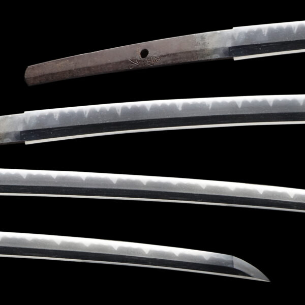 Antique Japanese Sword Daisho Signed by Kanemoto NBTHK<span style="color: #ff0000;"><span style="color: #ff0000;"> Hozon</span> Certificate - Image 2