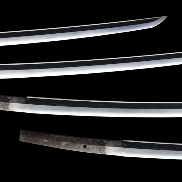 Antique Japanese Sword Katana Attributed to Sueyuki<br> NBTHK<span style="color: #ff0000;"><strong> Tokubetsu Hozon</strong> </span>Certificate - Image 3