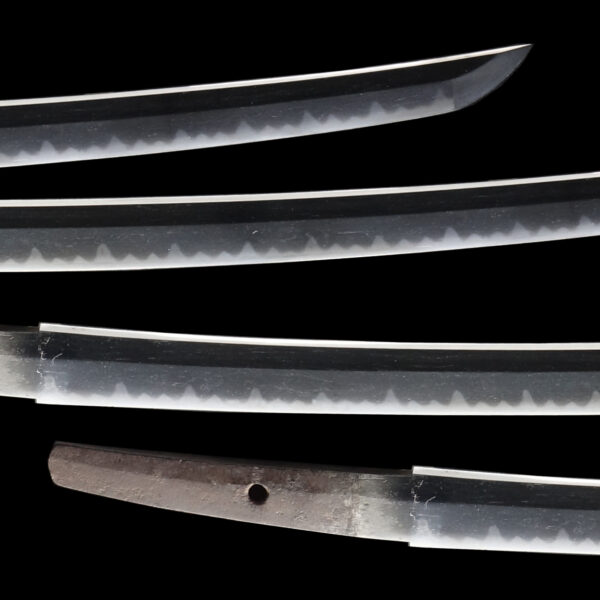 Antique Japanese Sword Daisho Signed by Kanemoto NBTHK<span style="color: #ff0000;"><span style="color: #ff0000;"> Hozon</span> Certificate - Image 5