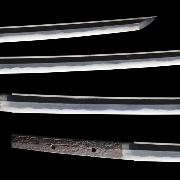 Antique Japanese Sword Katana Signed by Kunisada<br> NBTHK <span style="color: #ff0000;">Hozon </span>Certificate - Image 3