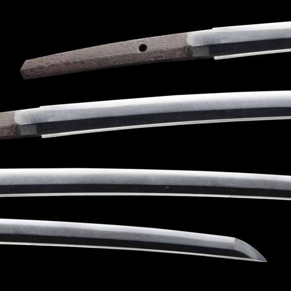 Antique Japanese Sword Wakizashi attributed to Mino Senjuin <br>NBTHK <span style="color: #ff0000;">Hozon </span>Certificate - Image 2