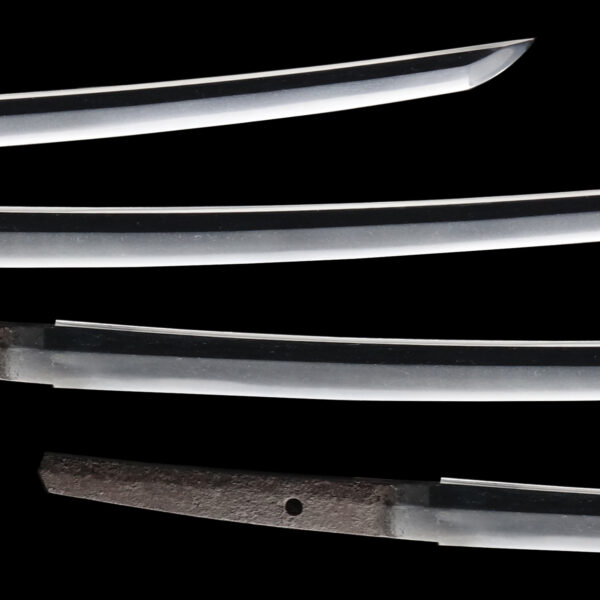 Antique Japanese Sword Wakizashi attributed to Mino Senjuin <br>NBTHK <span style="color: #ff0000;">Hozon </span>Certificate - Image 3