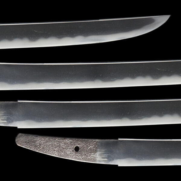 Antique Japanese Sword Wakizashi Signed by Naotane<br>NBTHK <span style="color: #ff0000;"><strong> Tokubetsu Hozon</strong> </span>Certificate - Image 3