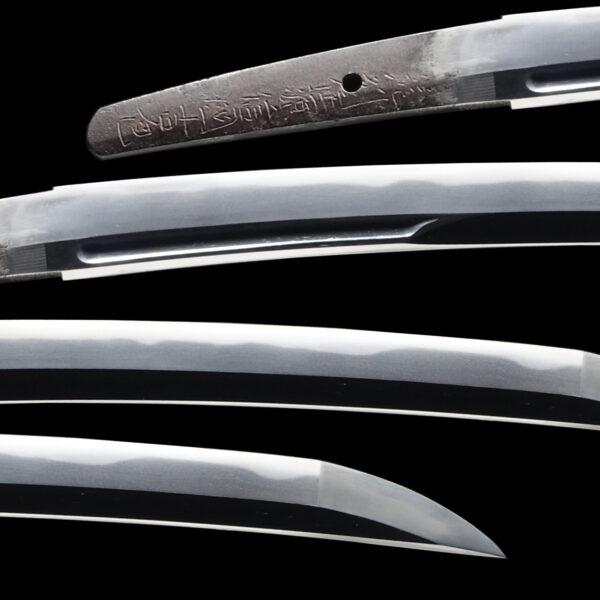 Antique Japanese Sword Wakizashi Signed by Nobukuni Yoshikane <br>NBTHK <span style="color: #ff0000;"><strong> Tokubetsu Hozon</strong> </span>Certificate - Image 2